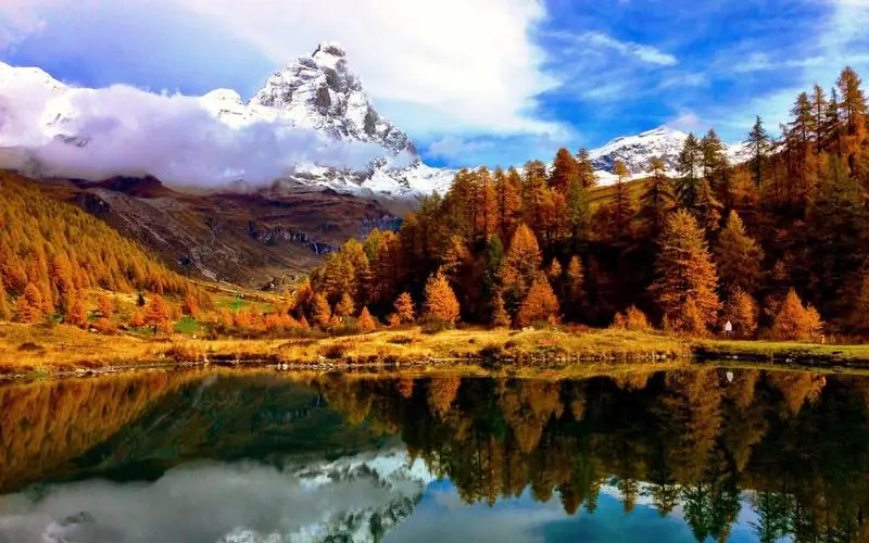 全自动创意电子